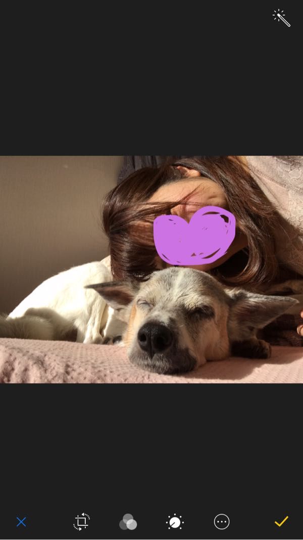 rblog-20180108215923-04.jpg