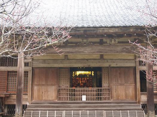 P1011116 - コピー.JPG