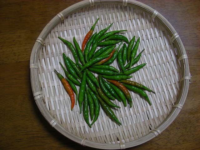 DSCN3520.jpg