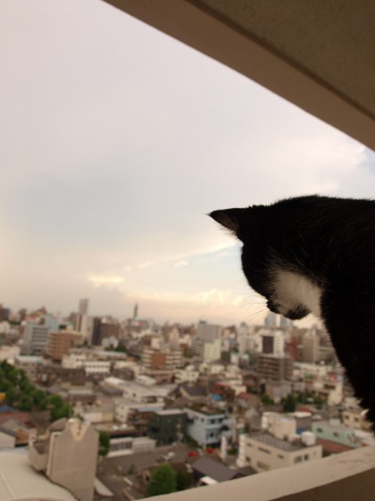No1208-003