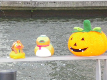 IMGP2105.jpg