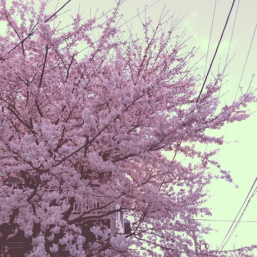 まっつ2IMG_9243.jpg