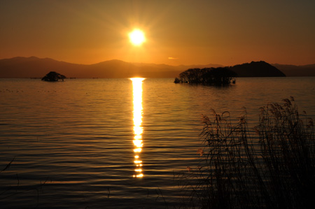 夕陽１