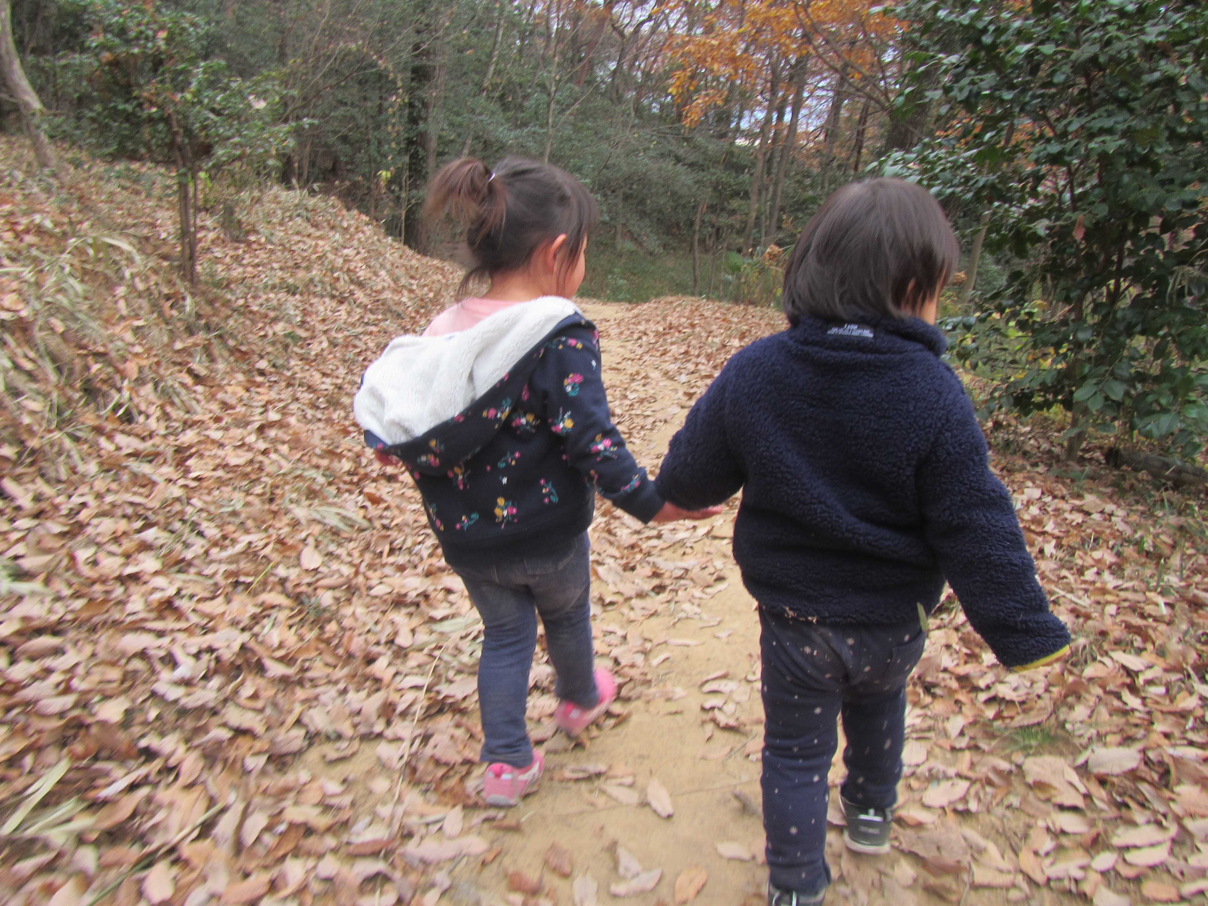 金山登山 | 認定こども園 アプリコット保育園 - 楽天ブログ