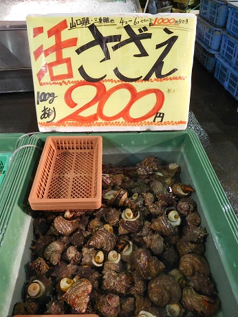 DSCN2021.JPG