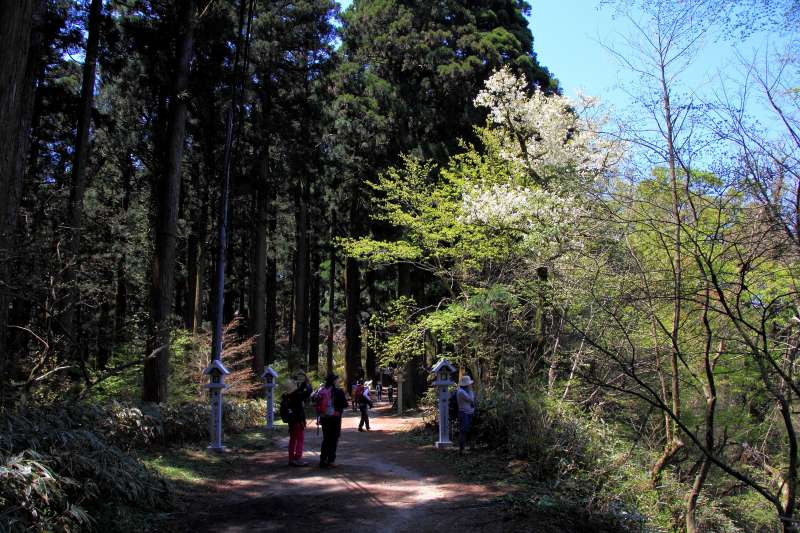 金剛山_004.jpg