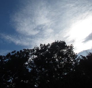空２.jpg