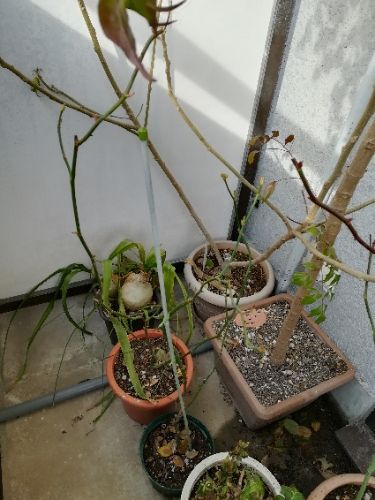 rblog-20180128101131-04.jpg