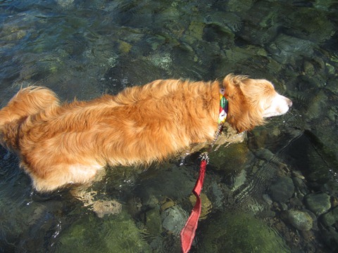 2012-0826-17.jpg