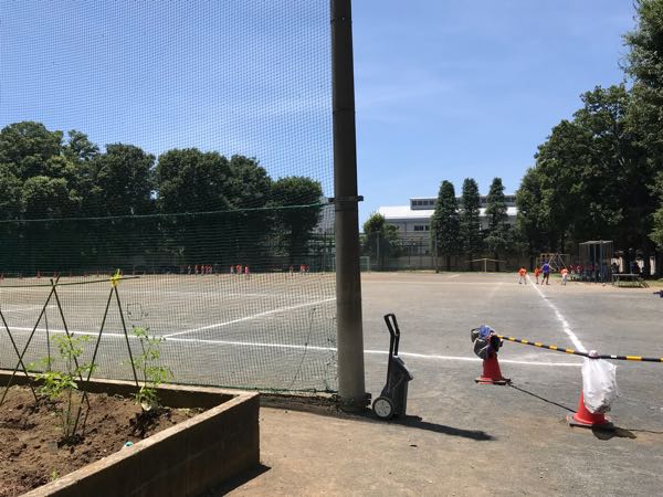 rblog-20180701231529-00.jpg