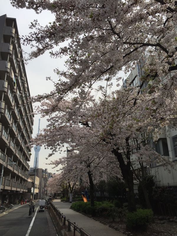 rblog-20160407153158-09.jpg