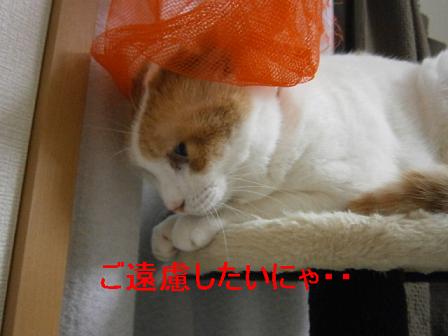 maru