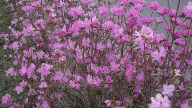 DSCF2703.JPG