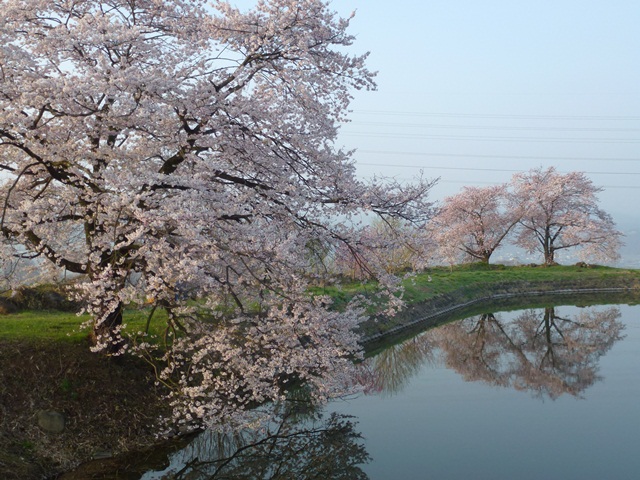 P1000321 - コピー.JPG