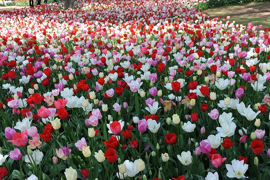 2011.4.29 028.JPG