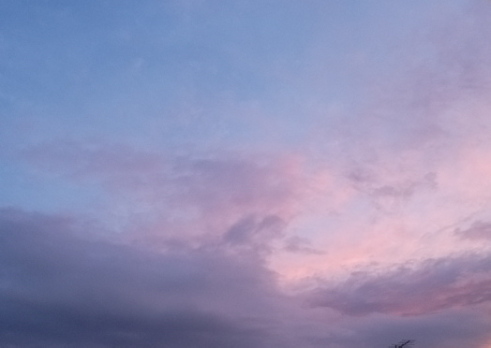 DSCF5282.JPG