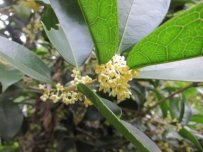 s-IMG_6577.jpg