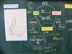 写真5.JPG