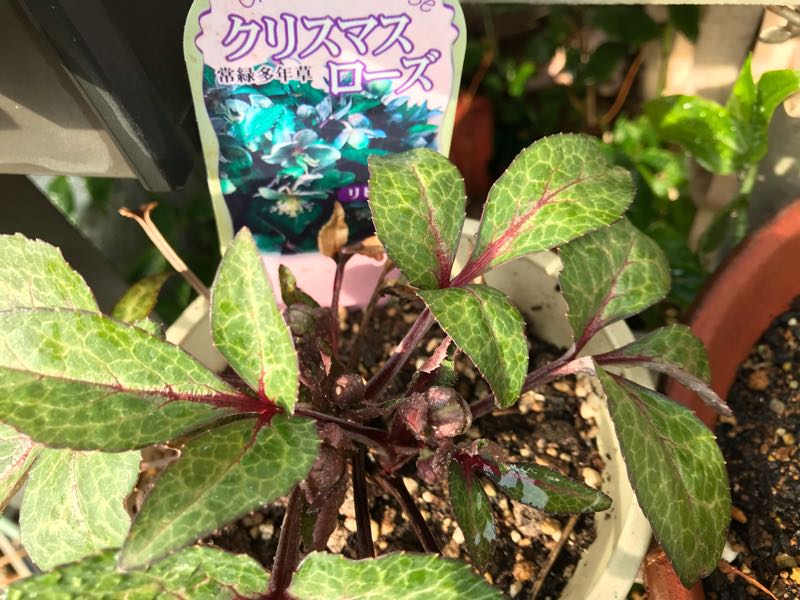 rblog-20190401163907-08.jpg