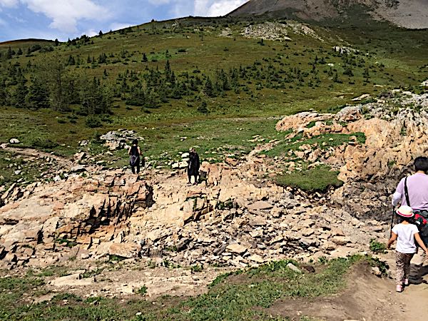 rblog-20180808131828-06.jpg