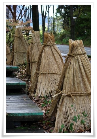 もく遊りん-3 階段の明かり 13.11.27