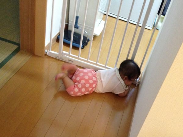 rblog-20140906003043-00.jpg
