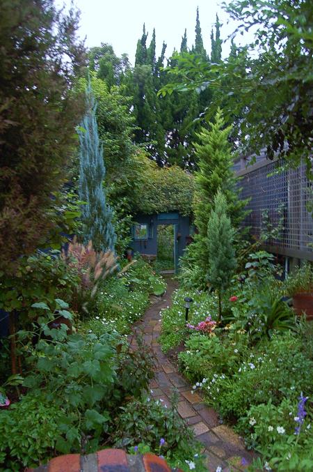 DSC_0454 (2).JPG