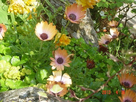 DSC01041.JPG