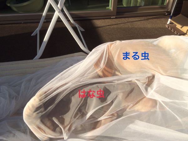 rblog-20160412234819-00.jpg