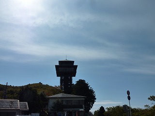 P1060256.jpg