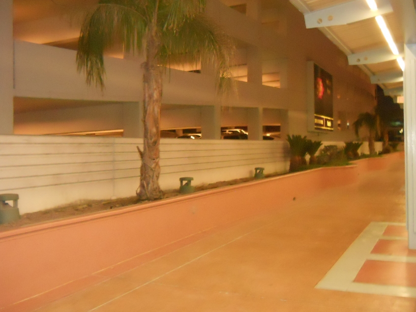DSCN2798.jpg