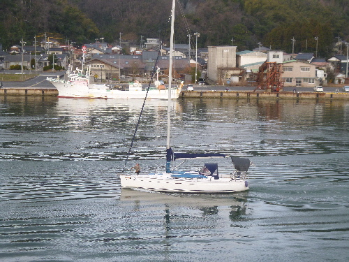 P1140693(1).JPG