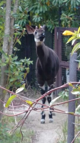 rblog-20140413171654-01.jpg