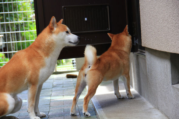 お帰り