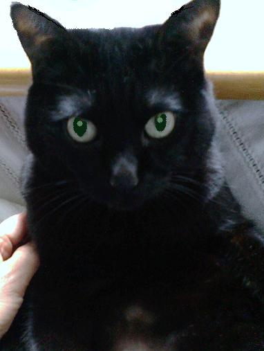 F1000933 - コピー.JPG