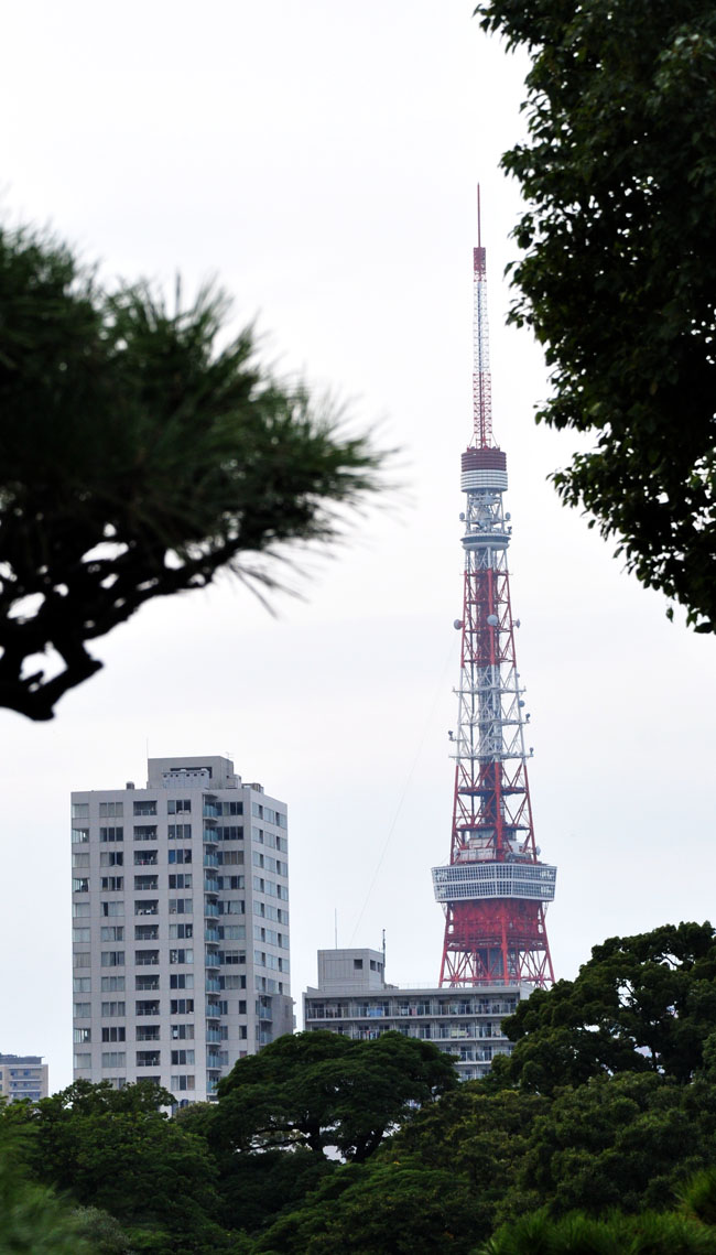 公園１