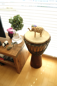 DSC02166.jpg