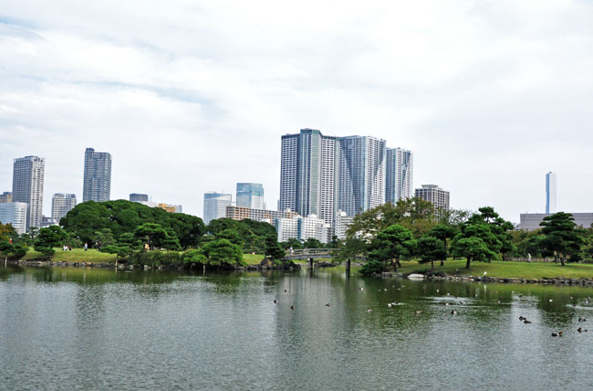 庭園５