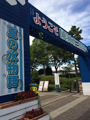 image6.JPG