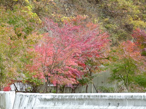 P1120440.JPG