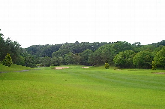 2012-06-20 15.44.27.jpg