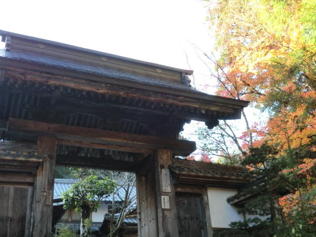 CIMG4231_R.JPG