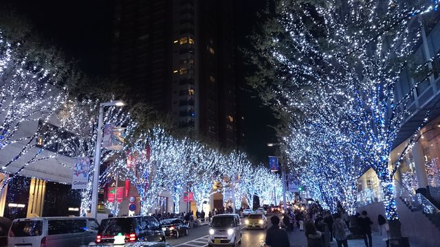 2015-11-28 17.14.28.jpg