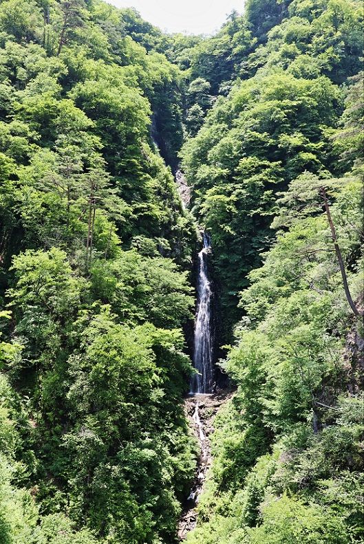 不動大橋 滝と子守松 清多夢くらぶ 楽天ブログ