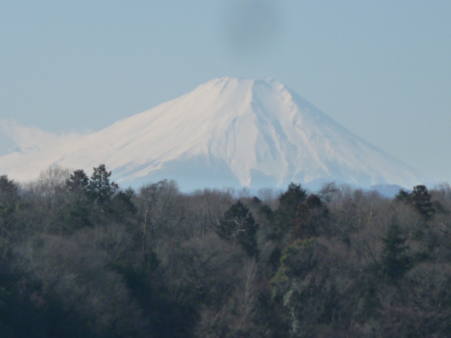 298 富士山