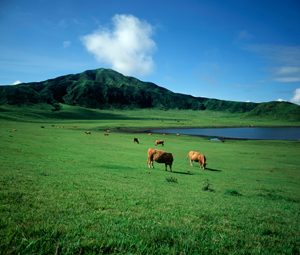 kumamoto_aso[1].jpg