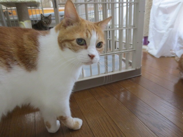 無題-24bitカラー-11.jpg
