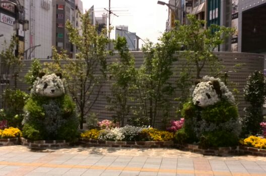 rblog-20140501221403-00.jpg