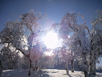 rblog-20140122125533-02.png
