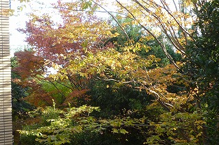 p-P1060564.jpg